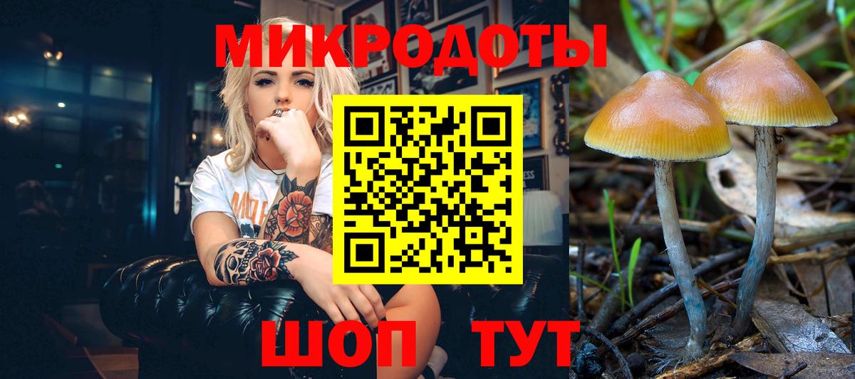 Моздок  Псилоцибиновые грибы ЛСД  Вход с VPN  Галлюциногенные грибы ЛСД 
