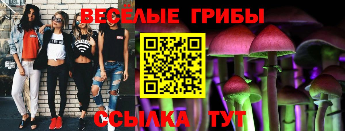 Псилоцибиновые грибы GOLDEN TEACHER Моздок